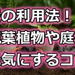 炭の利用法！ガーデニングで観葉植物や庭を元気にするコツ